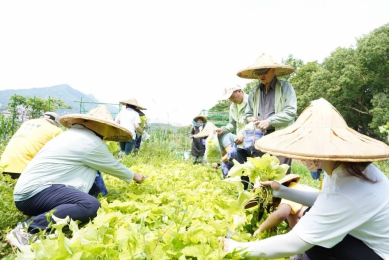臺大農場轉型食農教育場域　攜手新北推動食農教育！