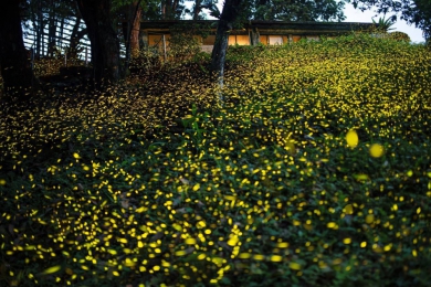 紫東社群環境改善完工　打造永續旅遊新亮點！