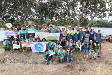 營造水雉適宜棲息與繁殖的浮葉環境  九芎埤「雉浮日」活動  林保署與塗溝村公私協力 種出水雉一片新棲地