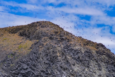 2025澎湖四季皆精采—春賞鷗與夏石滬登場  媒體踩線推廣深度體驗魅力  澎湖四季皆有不同風情，透過本次媒體踩線團的親身體驗與推文分享，期盼能吸引更多國內外遊客打破對澎湖的既有印象，前來探索澎湖春夏季的生態魅力，感受菊島一年四季所帶來的精彩與感動。