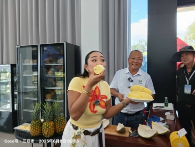 何以中國·行走海南——三亞榴槤來!