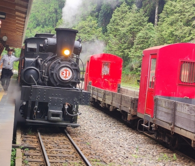 森林小火車正夯 百年蒸汽火車漫遊 阿里山賓館推「復古小火車之旅」