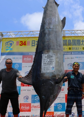 龐然巨物｜在日本与那国可以釣到這麼大的魚，歡迎有興趣的釣友，2025年7月4日至6日到日本最西端感受熱鬧的旗魚祭典，2026年再去參加旗魚大賽，大顯身手！