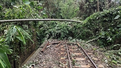 阿里山林鐵北門車站至十字路車站間倒樹清除中 嘉義-阿里山線預計7/15恢復營運 祝山、沼平、神木3條支線7/9恢復營運