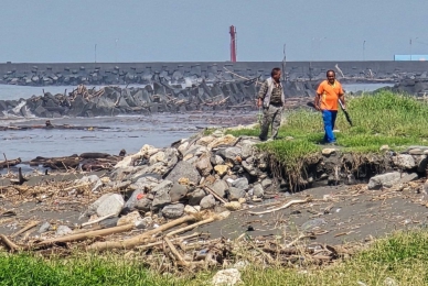 雙颱豪雨後汕尾海灘獵人捕捉綠鬣蜥