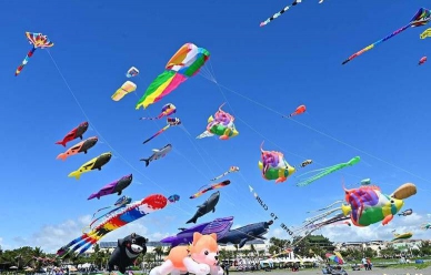 旗津風箏節130隻風箏遨遊天際超壯觀
