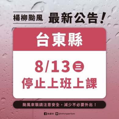 中度颱風楊柳｜海上陸上颱風警報發布，花蓮港船隻進港避風，海巡、鐵公路等等各單位戰備，臺東縣8/13日全縣停止上班、停止上課！