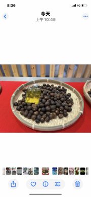 花蓮縣114年油茶籽評鑑開跑｜8/29日前受理報名