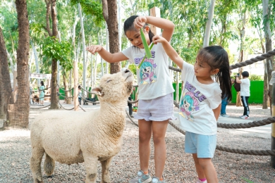 嘉義縣「藝文萌趣樂FUN」二日遊 揪小保育員來追萌寵〜
