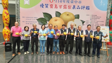 農友曾瑞東勇奪寶島甘露梨王!台中市寶島甘露梨果品評鑑結果揭曉