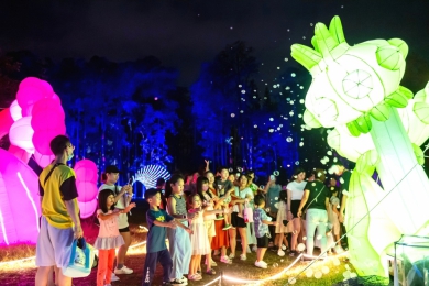 嘉義市114年上半年住宿業營收年增14.11% 住宿與旅遊人次齊創佳績！