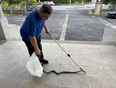 長蟲入侵民宅｜兩孩童慌張報警，大富派出所長黃正雄手到擒來！