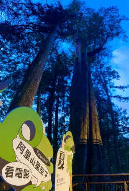 阿里山森旅季—夏星空電影夜  一百個名額七分鐘秒殺  享受獨一無二的森林視聽饗宴 荒野機器人動畫片