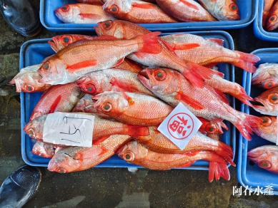 紅喉禮盒｜討喜、實用、大氣，無論是送長官、送親友、送朋友、送父母、送客戶，都是最佳最佳選擇！