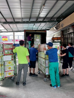 花蓮郵局推出文旦包裹專案｜在瑞穗郵局駐點服務，方便物流、柚農感謝。