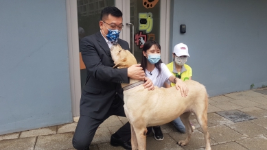 全台首位獲得動物保護貢獻獎的議長──許修睿