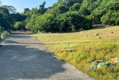 高雄父女1死1傷檢警將解剖複驗查明死因