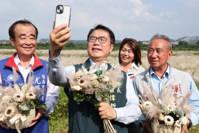 甜根子草花海迎中秋 大內「九月雪」浪漫登場