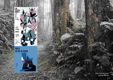 2025阿里山森旅季  冬季限定蕨類微觀之旅11月登場  名額有限額滿截止