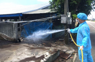 杜絕非洲豬瘟 雲林啟動防疫5措施 各校調整營養午餐供應原則 縣長張麗善籲中央效法雲林 持續全面禁止廚餘養豬！