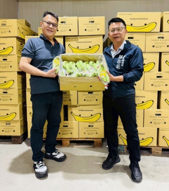 高雄香蕉搶攻外銷市場每週穩定供貨新加坡