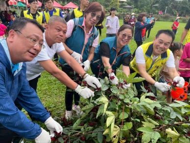 竹山鎮洛神花季登場　體驗農樂採摘與風味饗宴