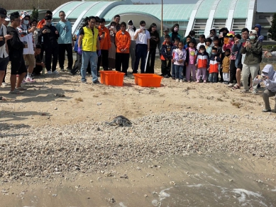 望安收容的2隻綠蠵龜順利野放，持續推廣海洋生態保育理念  澎管處表示，未來將持續與海洋委員會、縣府農漁局、水試所等相關單位攜手合作，透過望安綠蠵龜觀光保育中心延續「好善堂」石碑所象徵的守護精神，深化海龜保育觀光與生態教育推廣，讓更多遊客在旅途中學習愛護海洋、珍惜自然，實踐永續旅遊的理念。