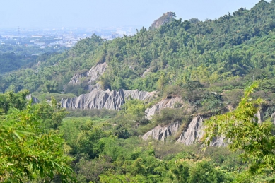 高雄月世界山坡遭棄置數十噸垃圾環保局追來源