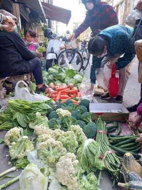 秋冬蔬菜量產價回穩民眾大搶便宜