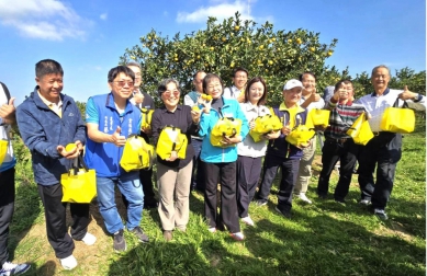 雲林柳丁盛產季節 全台主要產地古坑鄉公所將於12/13-14  在古坑綠色隧道228公園大草原 盛大舉辦行銷推廣活動~
