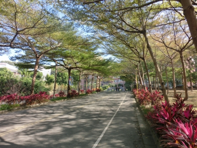 大葉獲「2025年綠色大學全球第37名」殊榮。(照片大葉提供)