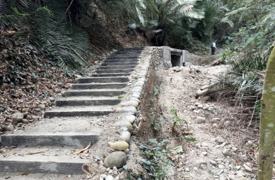 雲林林內龍過脈森林步道鐵管坑至坪頂路線(C、D線)完成整修 安全升級體驗更完善 12/1起重新開放！