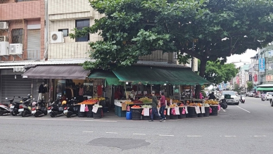 地王｜臺東市正氣路與光明路角地掄元