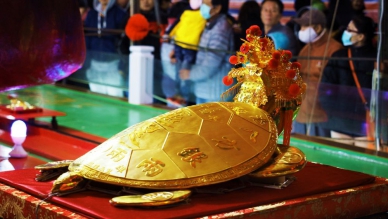 2026澎湖元宵限定！乞龜祈福送公仔，共同打造特色元宵文化旅遊  除了誠摯歡迎全臺旅行社踴躍組團參與本次主題遊程推廣外，澎管處亦特別預告，將於 115年3月3日至3月5日 期間，針對自由行旅客及在地鄉親，推出期間限定的 「賞龜祈福專車」。凡完成報名並實際參與行程者，皆可獲贈 「2026綠蠵龜主題搖頭公仔」 與 「2026元宵祈福紀念幣」 各1份，與旅行團旅客同享元宵限定好禮，增添參與節慶的紀念價值與收藏意義。