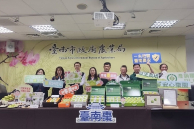 一口咬下臺南蜜棗 清脆香甜好滋味 迎春來品嚐