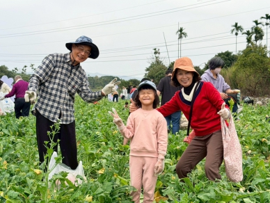 步步高升好彩頭　竹山鎮拔蘿蔔體驗活動加碼現炸蘿蔔糕