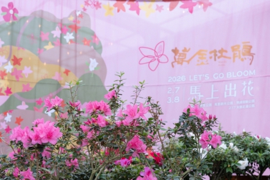 賞花抽好禮 萬金杜鵑邀請民眾「馬上出花」
