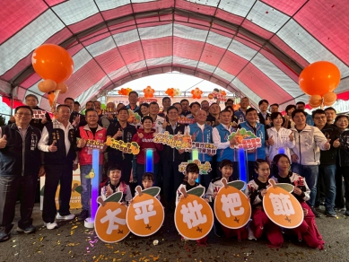 2026太平枇杷節登場　「黃金果」上市邀民眾春遊嚐鮮