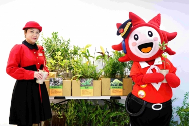 遠百嘉義「公益小樹苗帶回家」活動  三張發票或二本八成新童書  兌換遠百限量樹苗