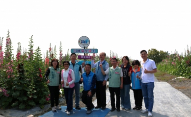 「員林蜀葵花」開了，本月28日在大饒路南區公園正式開幕。（照片公所提供）