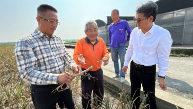 雲林立委劉建國促成大蒜價格穩定措施 台灣蒜農協會感謝長期相挺蒜農！