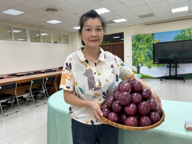 「2026 全國春季百香果優質果品評鑑」頒獎典禮圓滿落幕  農友張莉美勇奪冠軍  其栽培的百香果色澤紫紅亮麗、果汁飽滿且香氣濃郁，在甜酸比與風味展現上獲得評審高度肯定。她種植百香果邁入第6個年頭，原先種植小番茄，有感於栽培缺工的困擾，因而轉作百香果，在神隊友先生的助攻下，利用良好的灌溉及肥培策略，不僅提升果品內在品質，更展現出絕佳外觀，獲得冠軍實至名歸。