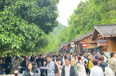 前進貴州黔南系列報導（三） 走進貴州荔波小七孔 兩岸媒體團讚生態美