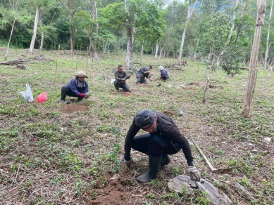 23支古道遺址維護隊守護山林隊員年薪加5萬元
