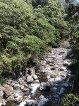 八仙山國家森林遊樂區邀民眾漫步森林浴、大口「森」呼吸