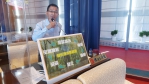 提升樹木管理  台中市議員陳清龍建議成立專責單位