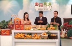 中市農業局攜手東森購物  力推超值茂谷柑禮盒