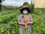 中市「環保農園」即起開放報名   抽30名幸運兒免費耕種5個月