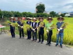 台中大里農會舉辦食農教育  體驗水稻收割小朋友驚呼