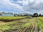 中市1期作稻草剪段翻耕補助  即日起至7月31日開放申請